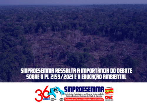 SINPROESEMMA ressalta a importância do debate sobre o PL 2159/2021 e a educação ambiental