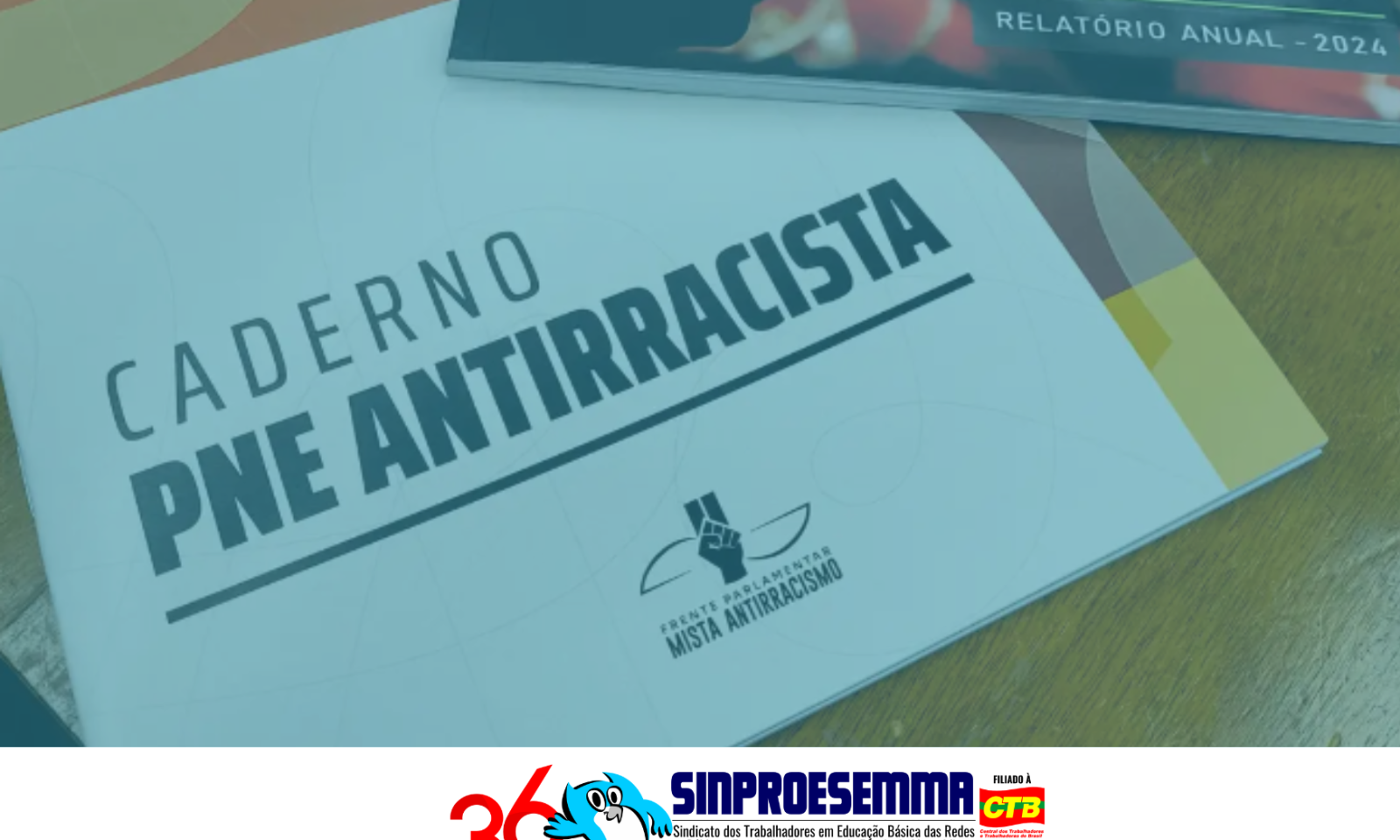 Sinproesemma defende inclusão de diretrizes antirracistas no novo PNE